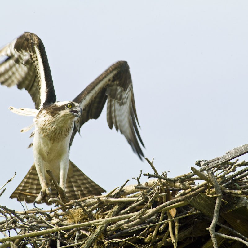 Antelope Canyon 2.jpg