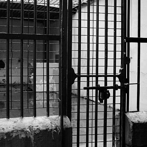 maitland-jail-cell-B&W-6x6-.jpg