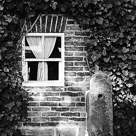 Caption-cook-window-6x6-B&W.jpg