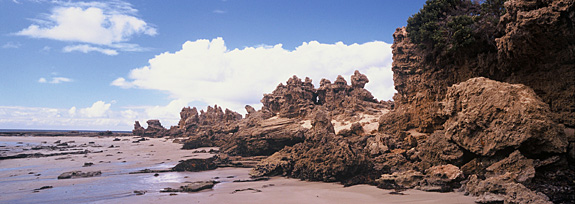 Anglesea-pointrocks-Xpan-H-.jpg