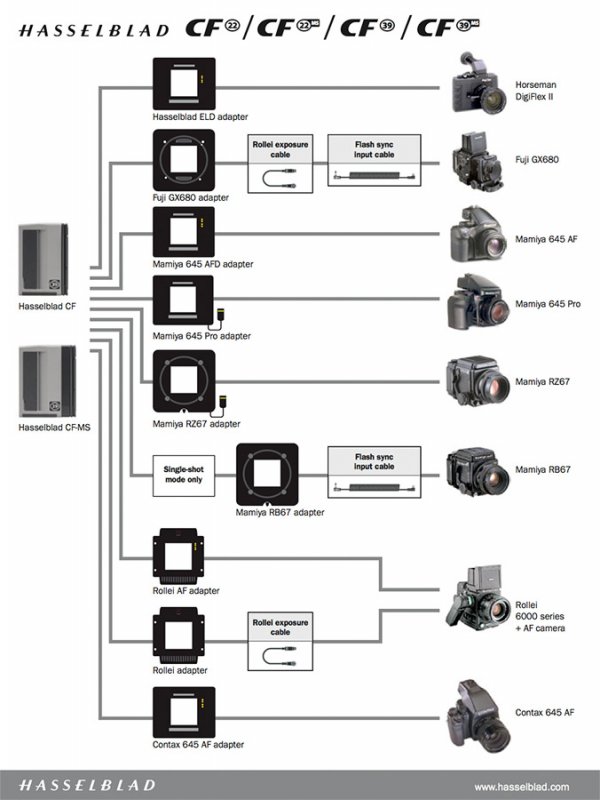 AAAAAAAAAAAAAAAAAAAA Hasey.jpg