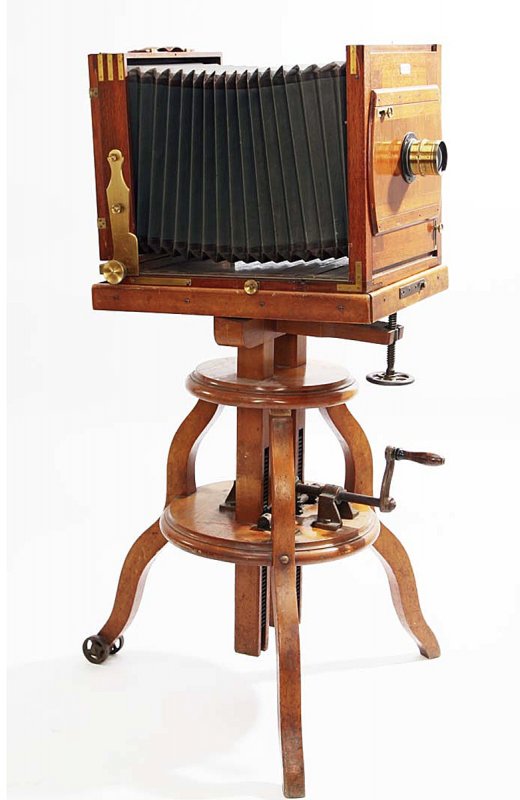 HASELNUT_H3L.jpg HASELNUT_H3L.jpg