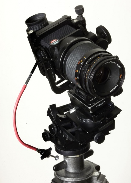 Arca C1 flexbody.jpg Arca C1 flexbody.jpg