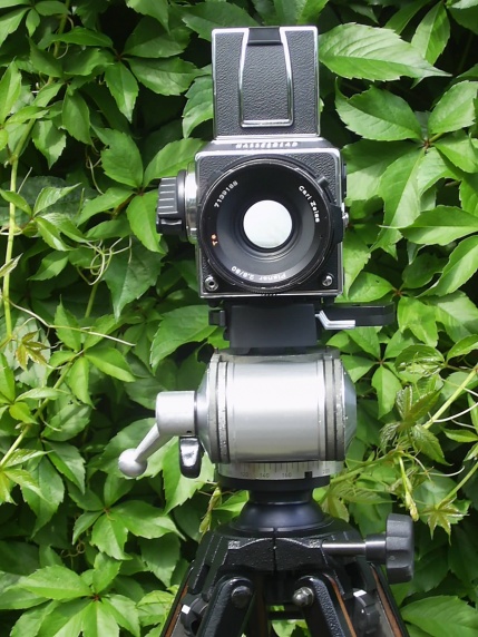 Sinar Pan&Tilt 003.jpg