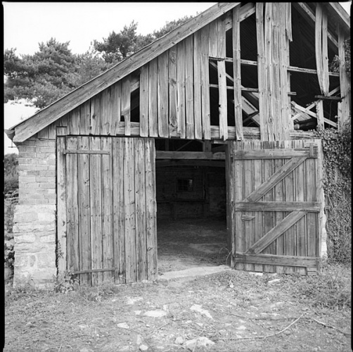 shed.jpg