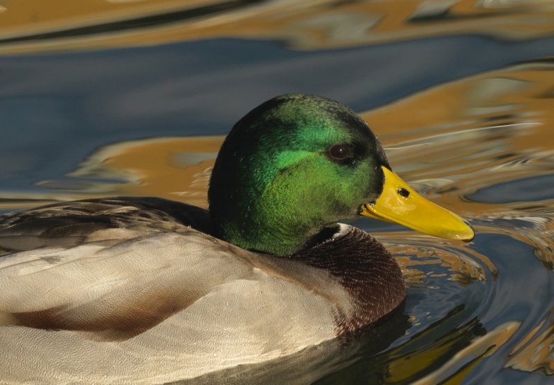 A_03144-2.jpg A_03144-2.jpg