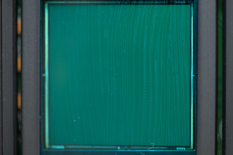 _D3X8601.jpg