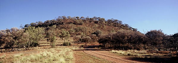 bourke-nat-park-xpan-600.jpg