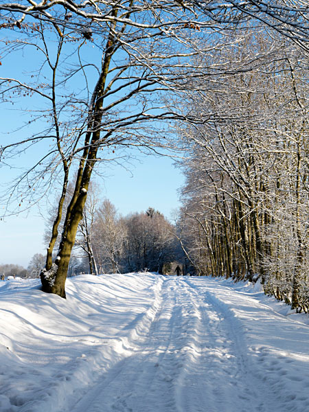 Hiver-2011-04.jpg