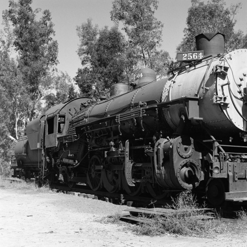 Roll_2-1_WWW.jpg Roll_2-1_WWW.jpg