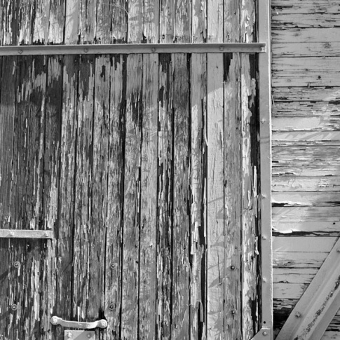 Roll_2-11_WWW.jpg Roll_2-11_WWW.jpg