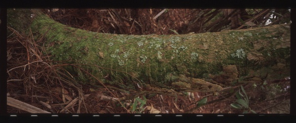 img024 - Version 2.jpg