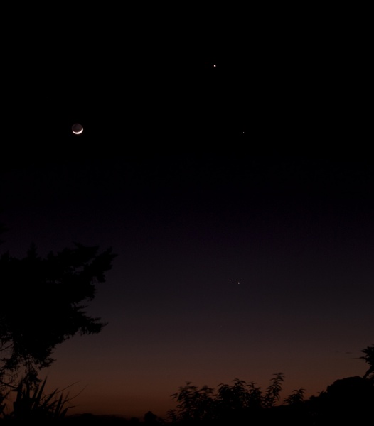 potw #254 CF037699.jpg potw #254 CF037699.jpg