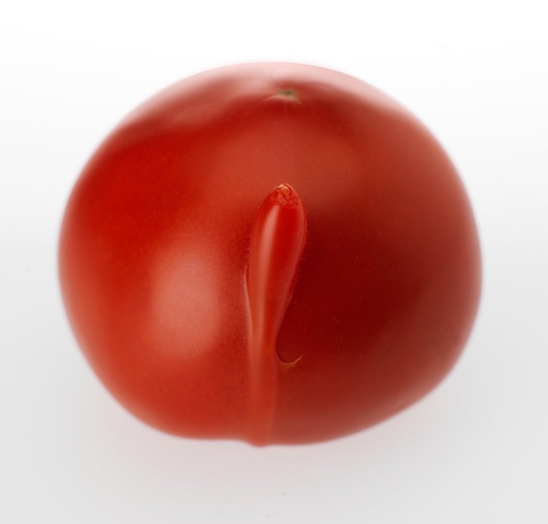 CFV-II Tomato_0001.jpg