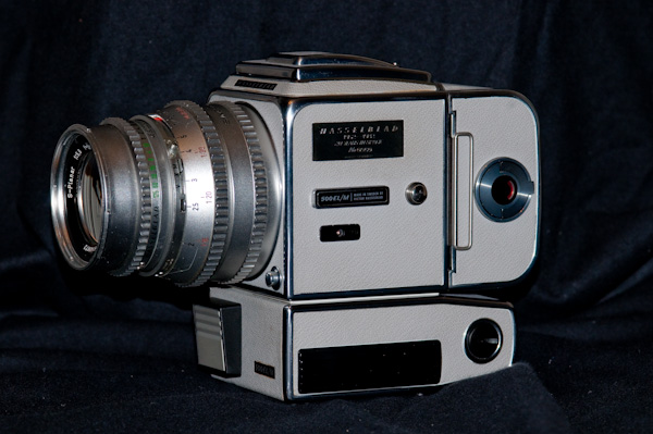 Firecracker (1 of 1).jpg