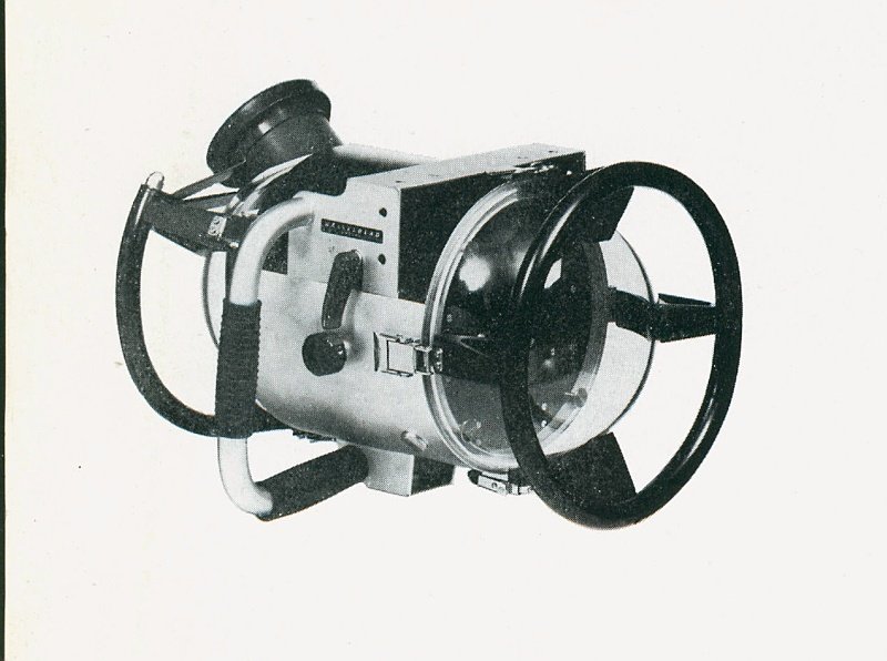 uwh elm002.jpg