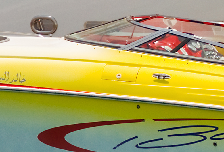 A_00229 DNG detail.jpg