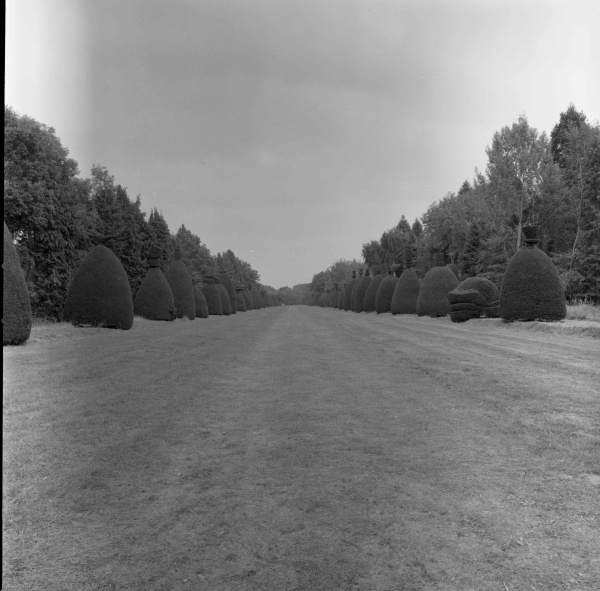 50mm FLE Pictures003 copy.jpg