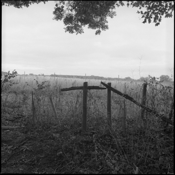 50mm FLE Pictures024 copy.jpg