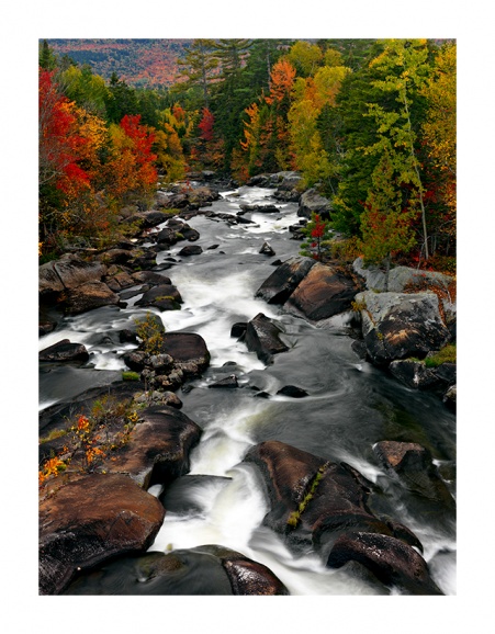 Maine-Foliage_03424_prv.jpg