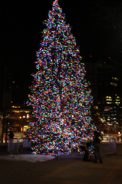 DSC_0074.jpg