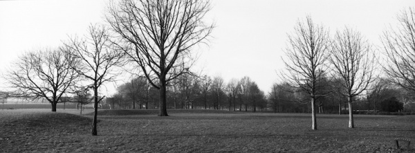 20100120-01-03.jpg