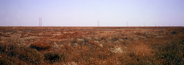 Bleak-outback-Xpan.jpg