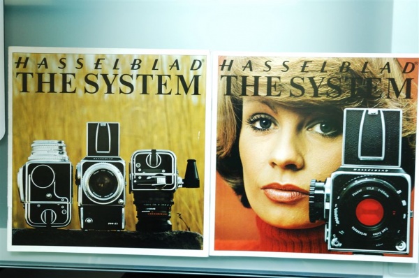 DSC_0004Hasselblad.jpg