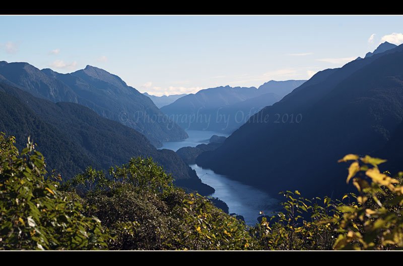 DOUBTFUL SOUND CF031897.jpg