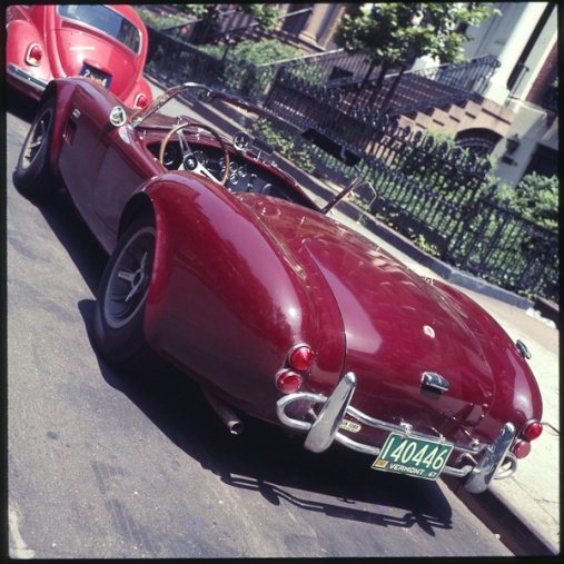 cobra-1.jpg