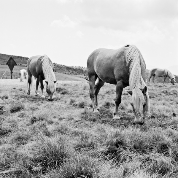 20110817_lp_0001-3.jpg