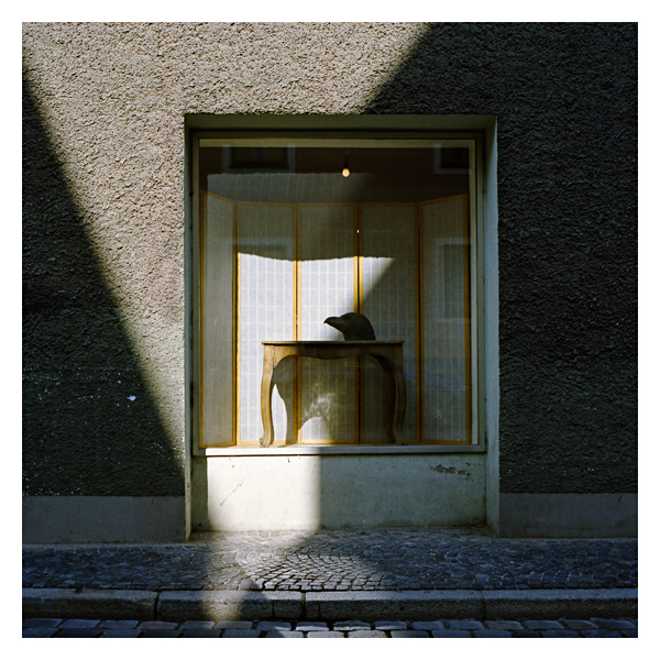 Schaufenster-10.jpg