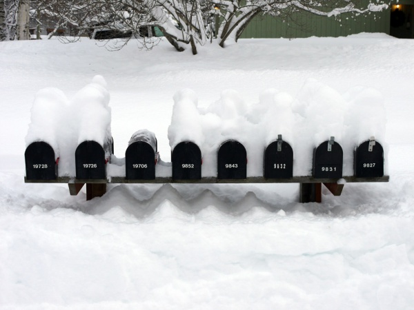 P1010302 Snow Fall 12-23-11.jpg