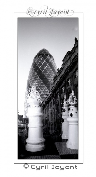 All Right Reserved Images ©yril jayant (1).jpg