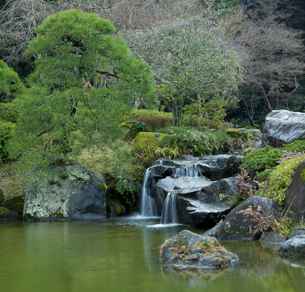 Narita temple pond 1.jpg