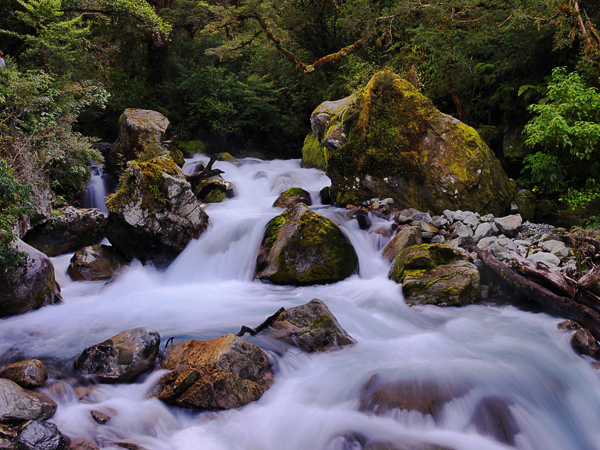 Cascade off Hollyford Rd.jpg