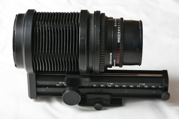 _MG_8952.jpg