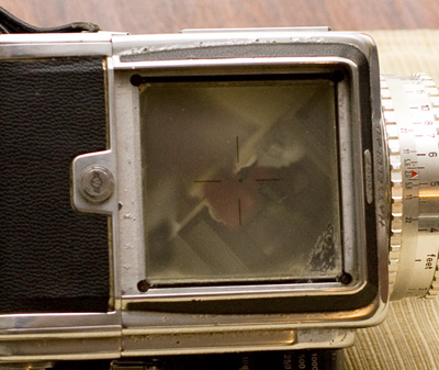 hasselblad_1000f_7.jpg