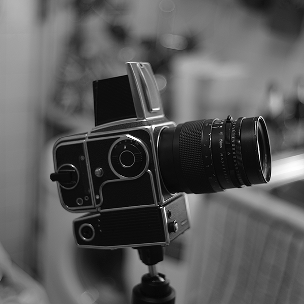 L1081516.jpg