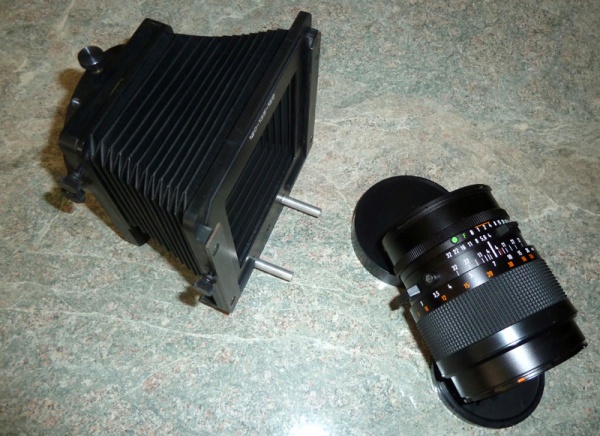 P1010031LR.jpg