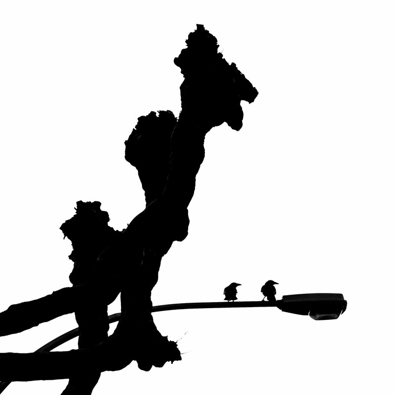 20230220-B0010144-JPEG Bilder-2.jpg 20230220-B0010144-JPEG Bilder-2.jpg