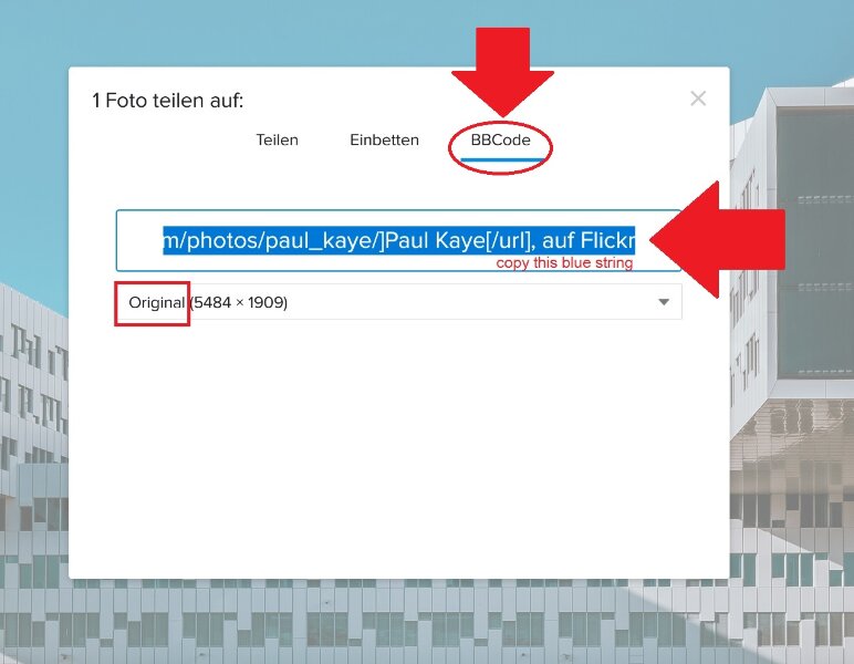 Flickr_best_embedding3.jpg Flickr_best_embedding3.jpg