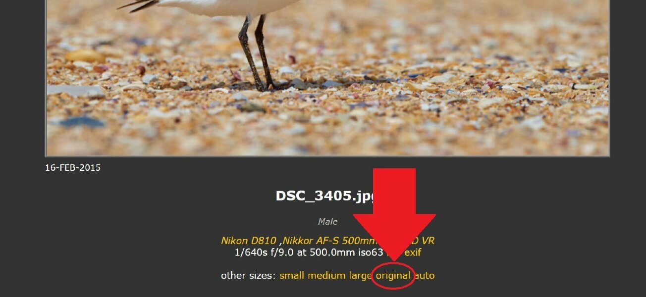 PBase1.jpg PBase1.jpg